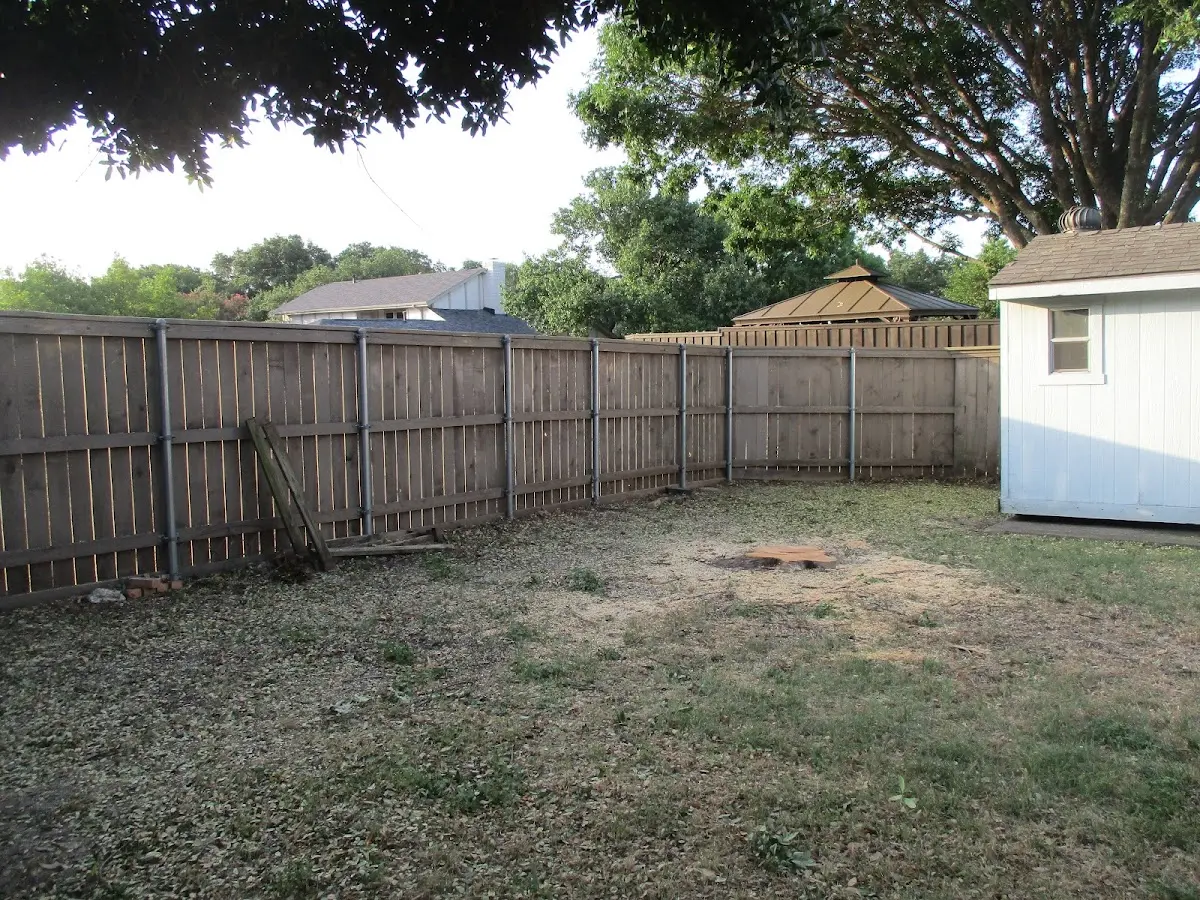 Cleared yard after professional tree removal in Abbeville